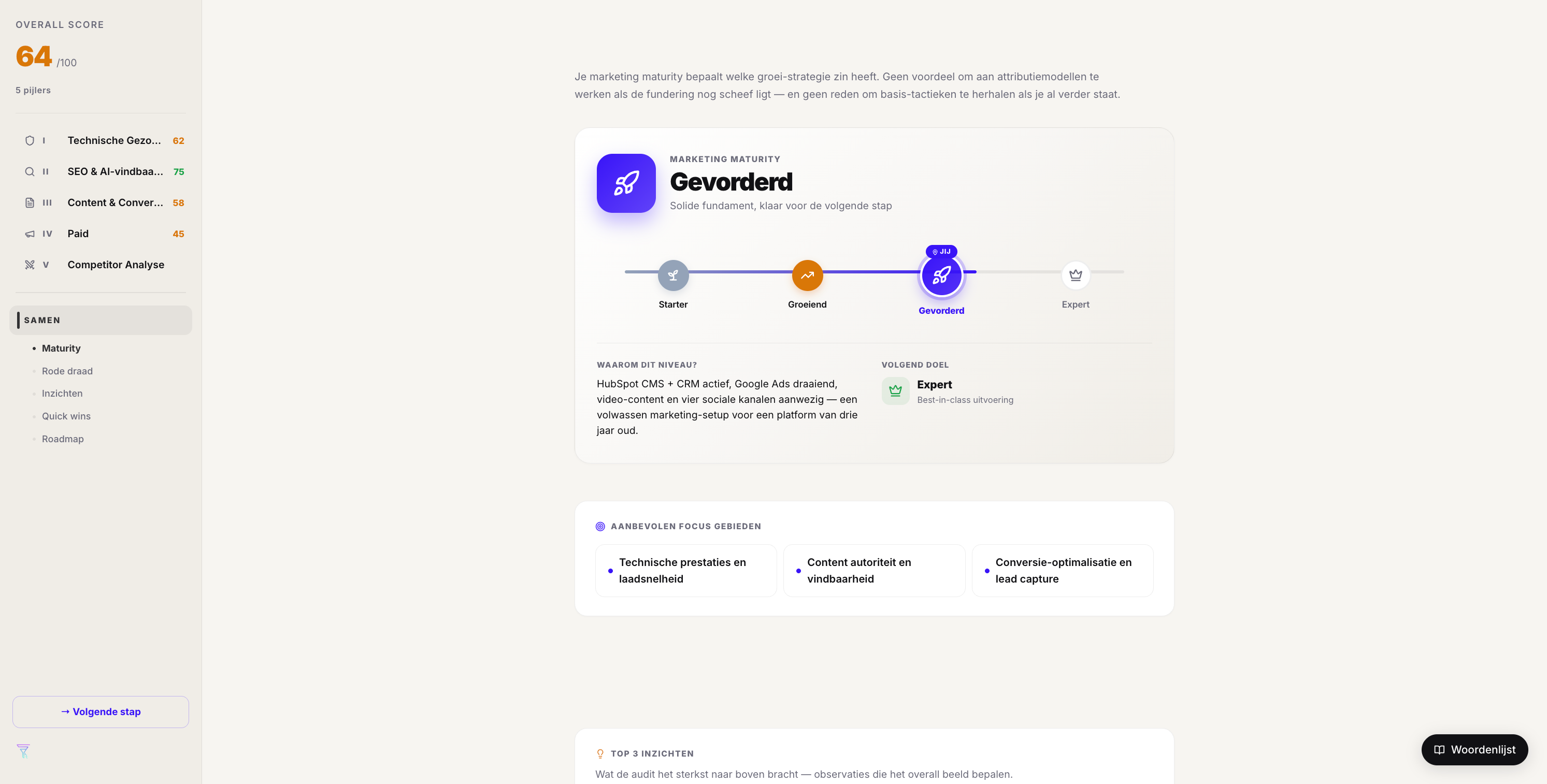 From domain to shareable SEO report in five minutes, screenshot 9